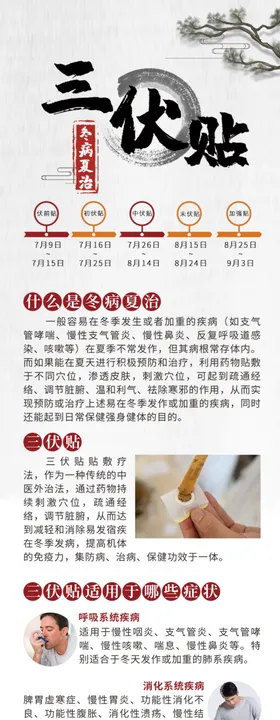 三伏贴详情