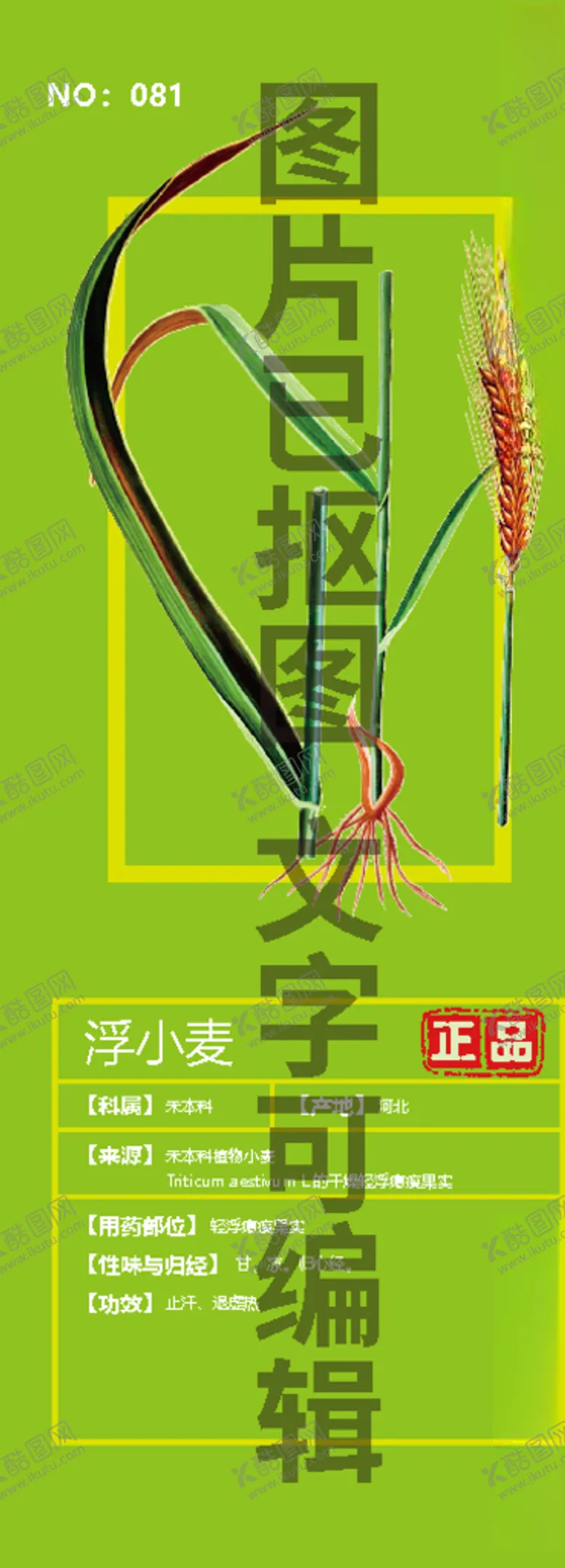 编号：55139704222242319555【酷图网】源文件下载-浮小麦