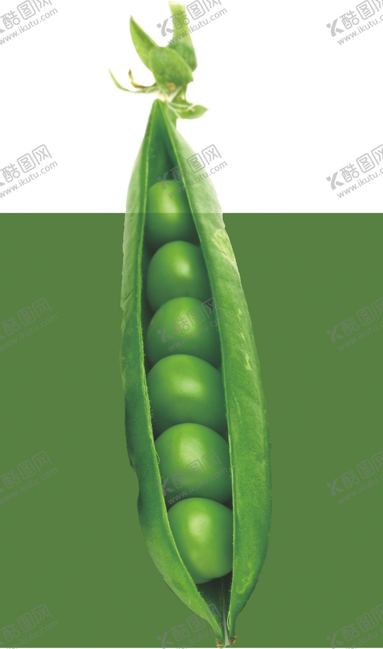 编号：43685901271002073890【酷图网】源文件下载-豆子