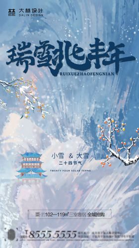 小寒小雪大雪海报