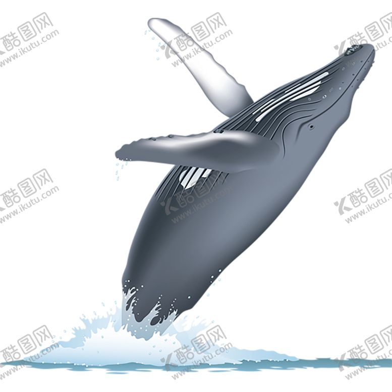 编号：24333307130446141084【酷图网】源文件下载-水花