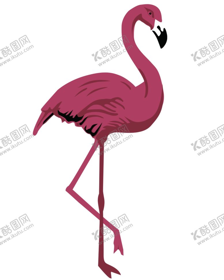 编号：74432609150352271352【酷图网】源文件下载-火烈鸟矢量图