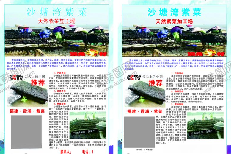 编号：49203007040000151818【酷图网】源文件下载-紫菜传单