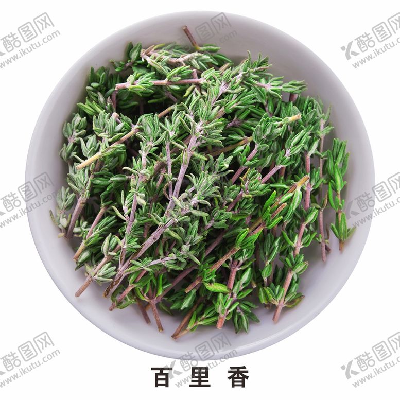 编号：98392910241628498384【酷图网】源文件下载-百里香免抠素材