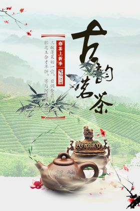 春茶上新季