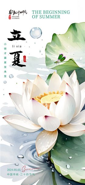 立夏海报盛荷花荷叶