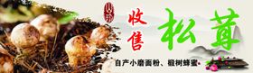 收售松茸