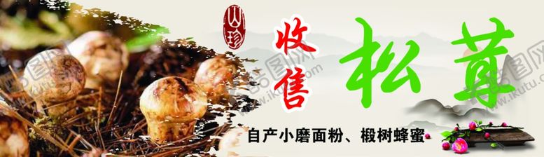 编号：90343605181151346494【酷图网】源文件下载-收售松茸