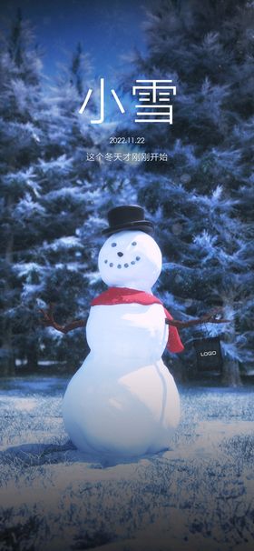 节气海报小雪