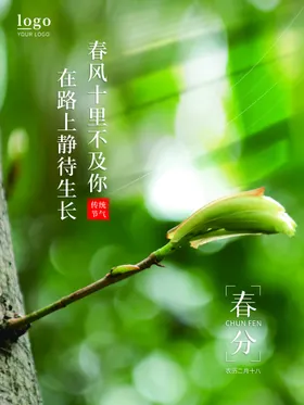 春分朋友圈宣传立