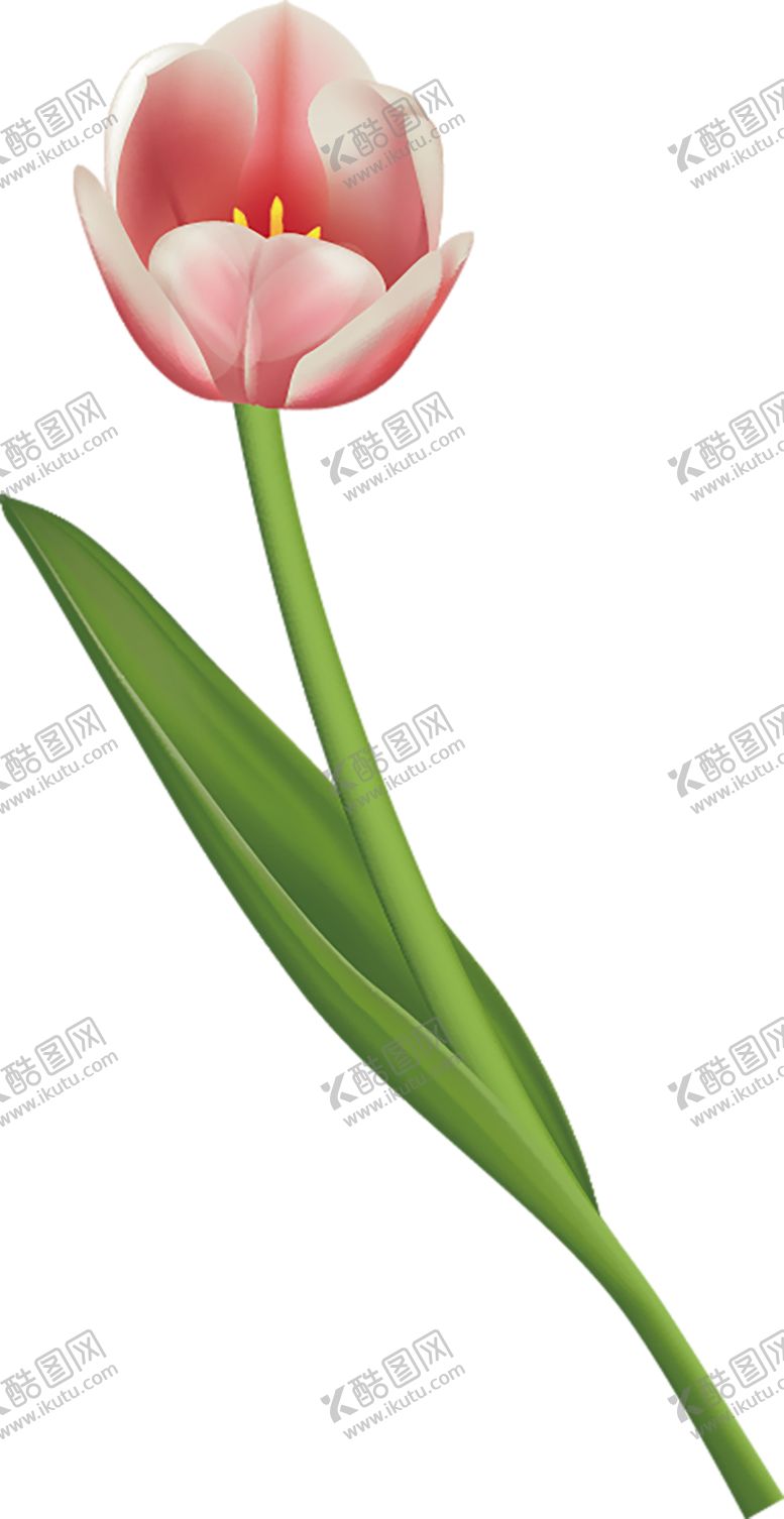 编号：65568406171308022113【酷图网】源文件下载-鲜花素材