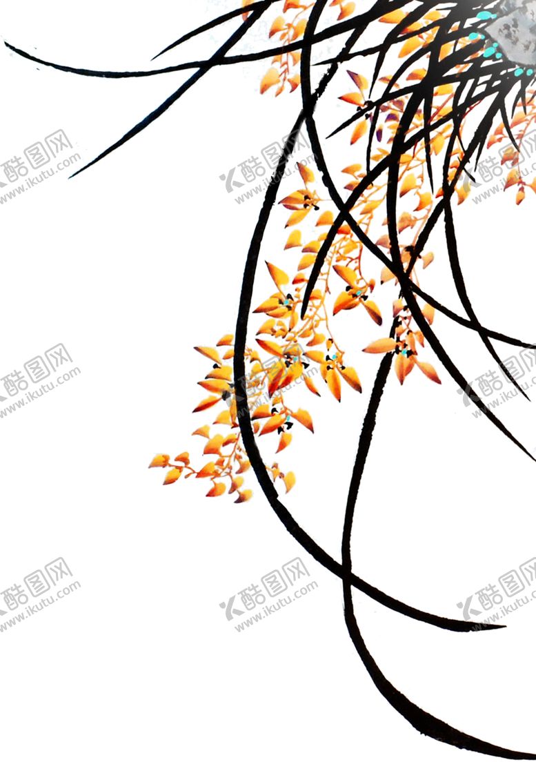 编号：60905001271611271769【酷图网】源文件下载-兰花