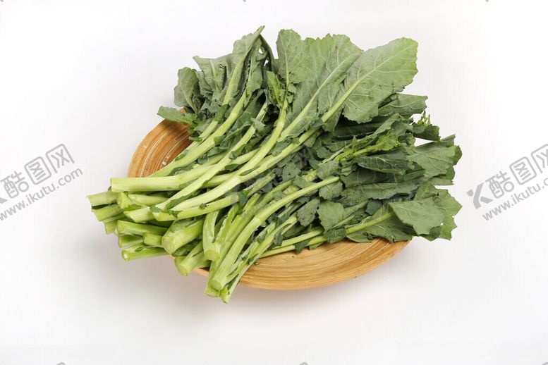 编号：21280903311558178797【酷图网】源文件下载-油花苔主图