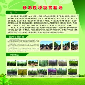 林木良种繁育基地