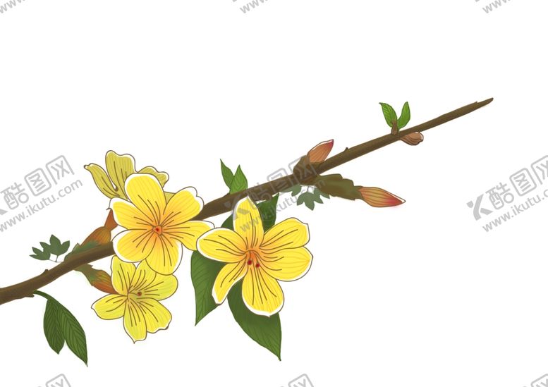 编号：70358109190911399281【酷图网】源文件下载-迎春花