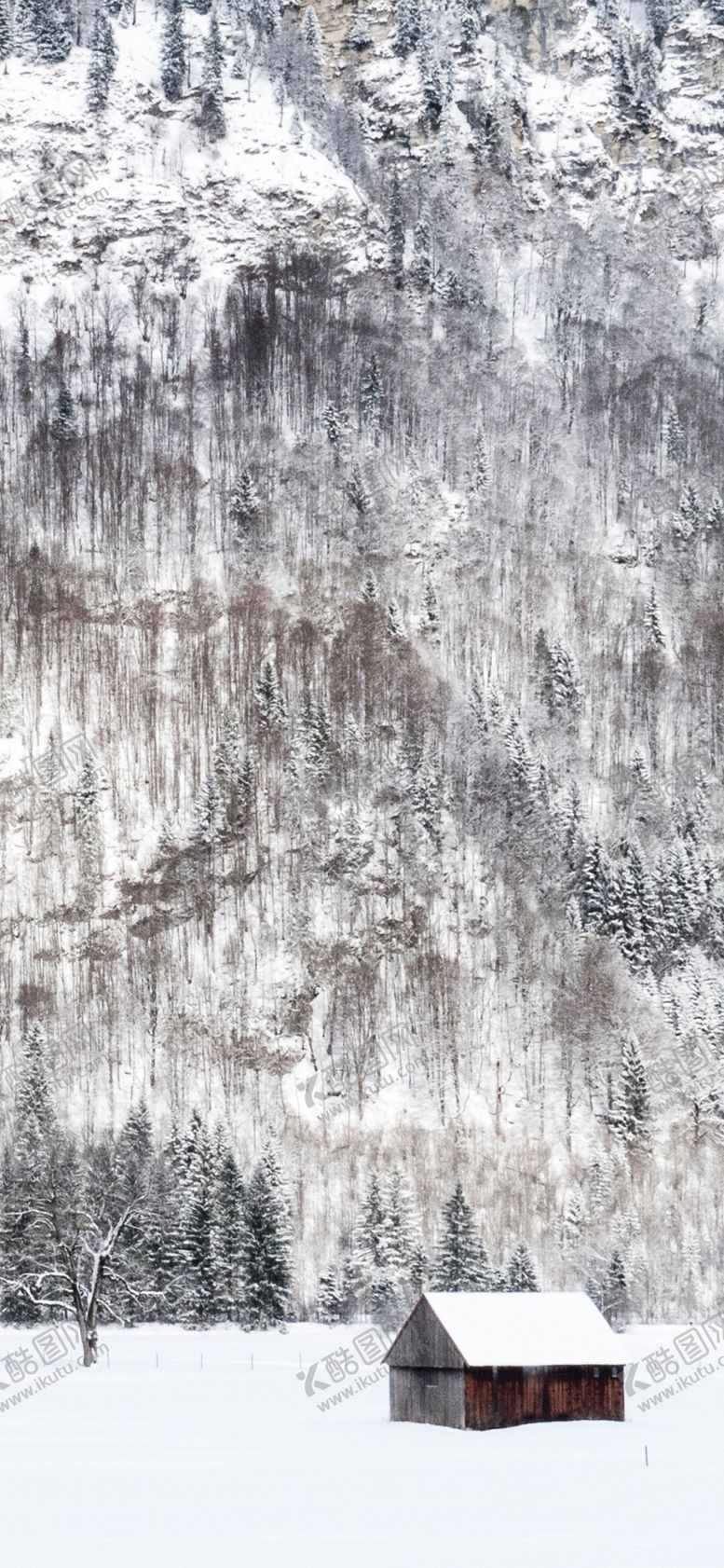 编号：35587209281438543197【酷图网】源文件下载-手机壁纸