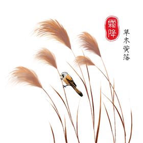 水墨素材毛笔画素材墨迹素材