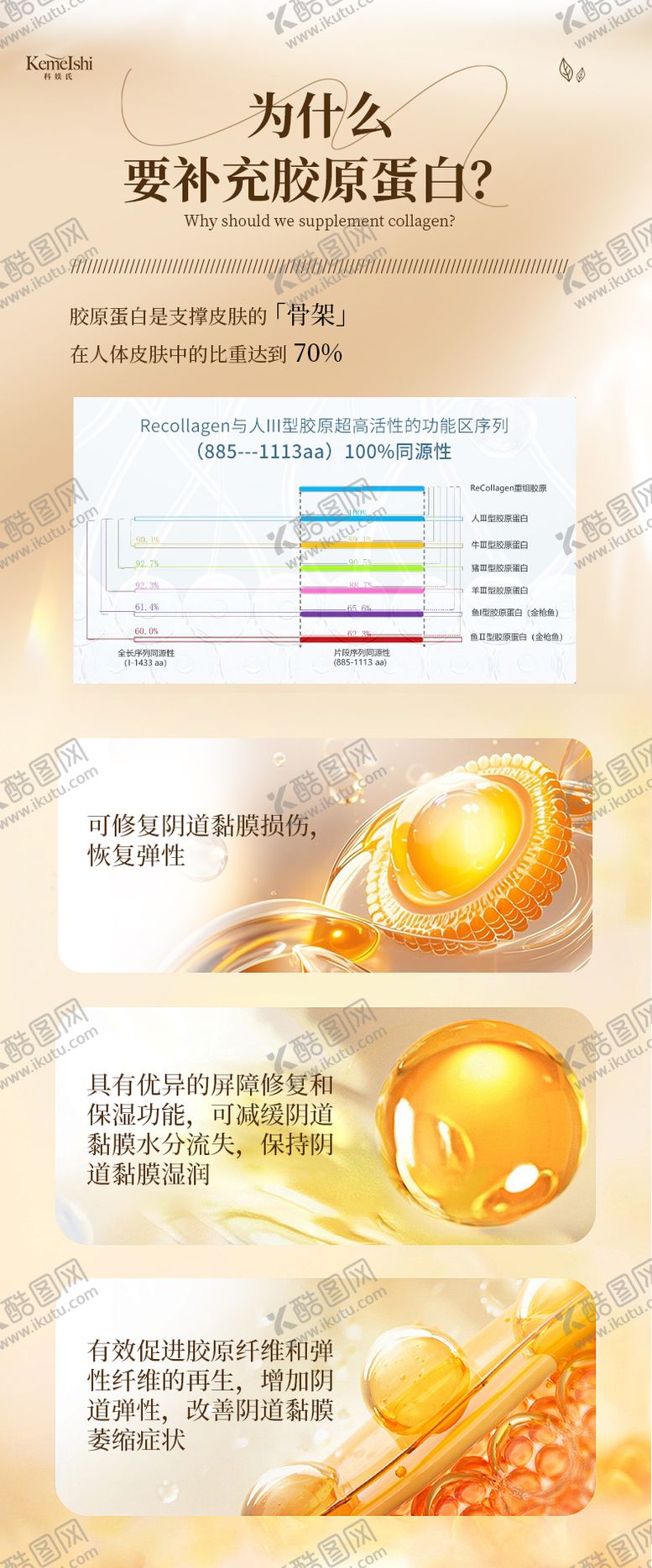 编号：52455203241523013402【酷图网】源文件下载-胶原蛋白功能