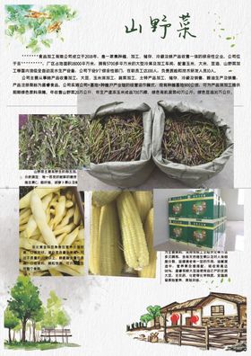 山野菜宣传单