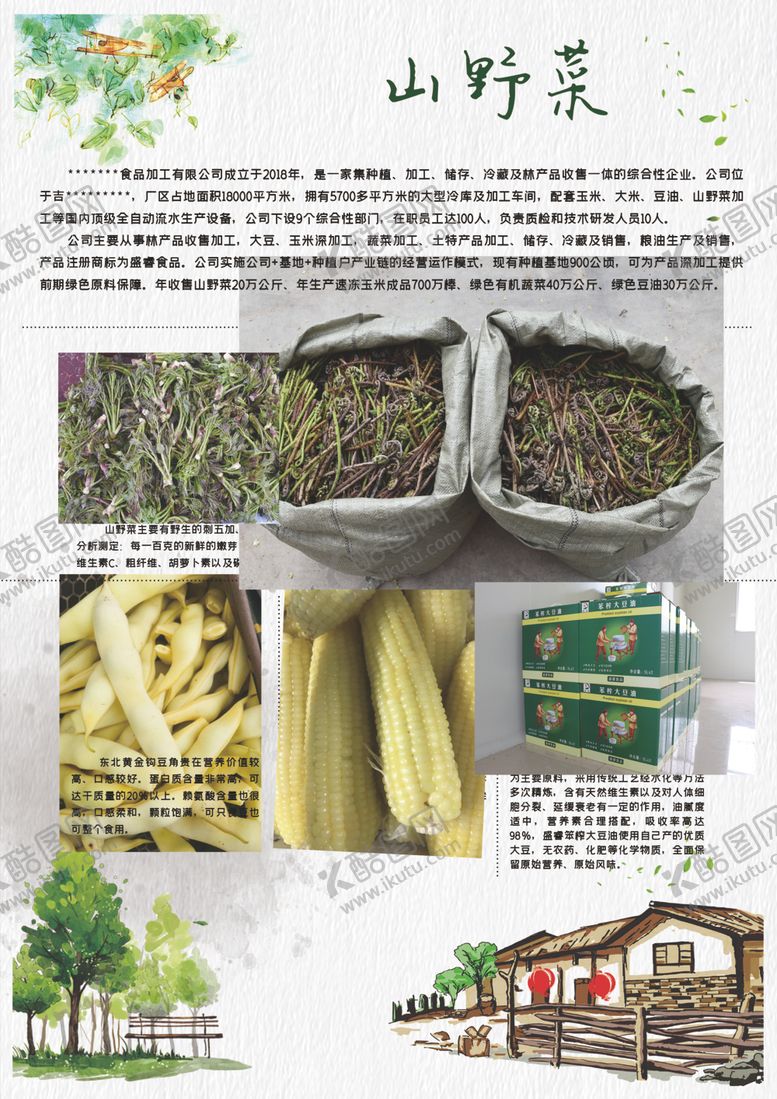 编号：72433405042146452550【酷图网】源文件下载-山野菜宣传单