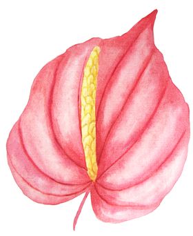 彩绘水彩花