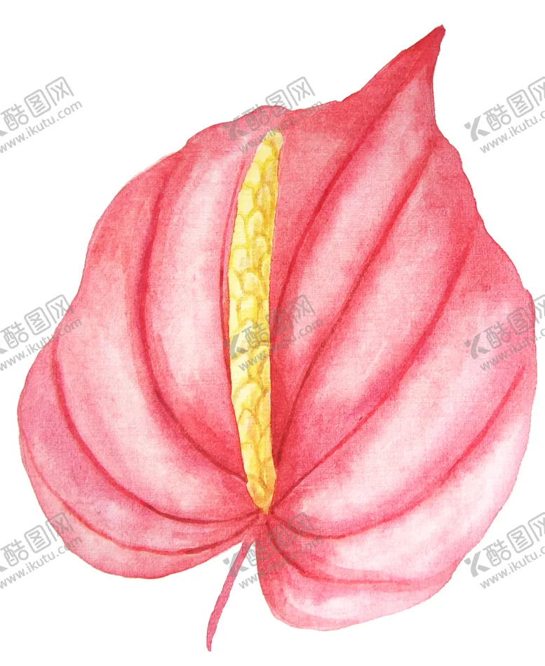 编号：34393906270853529660【酷图网】源文件下载-彩绘水彩花