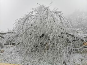 冰雪嘉年华