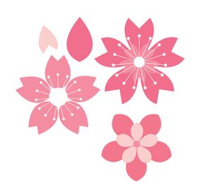 樱花素材
