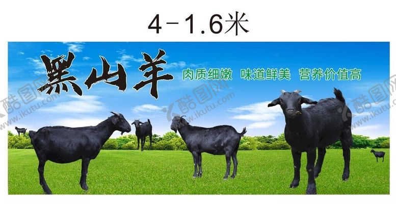 编号：61696902241721413520【酷图网】源文件下载-黑山羊海报