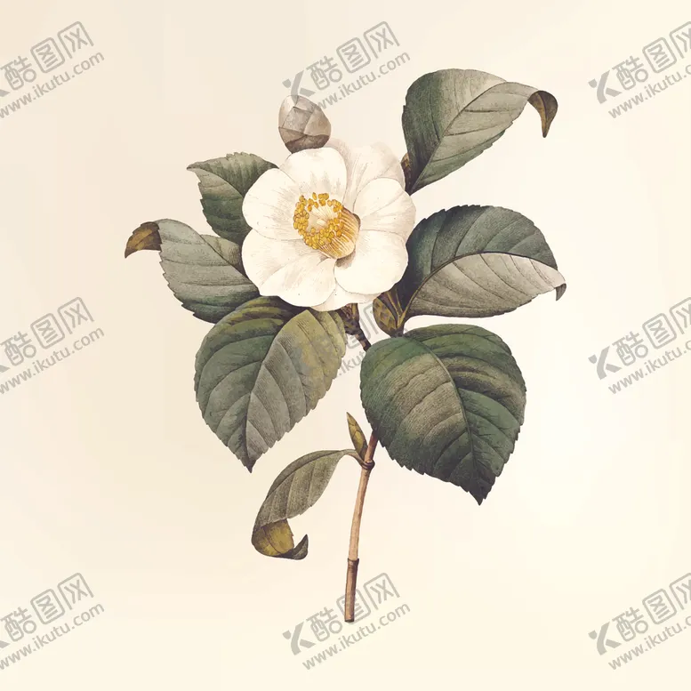 编号：30482507021949102680【酷图网】源文件下载-花纹