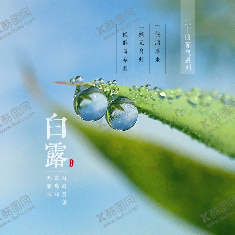 编号：84008206241833489938【酷图网】源文件下载-白露