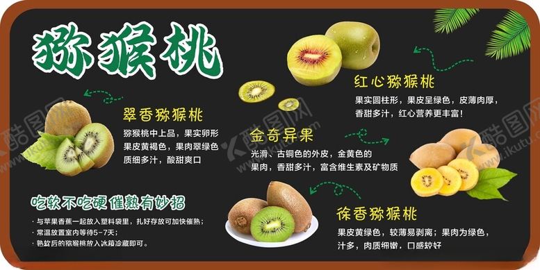 编号：33259204050635334972【酷图网】源文件下载-猕猴桃吊牌