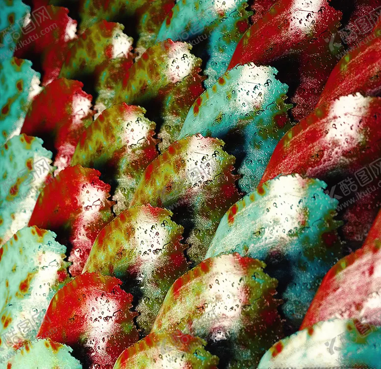 编号：79696409090019378262【酷图网】源文件下载-C4D特效设计图案