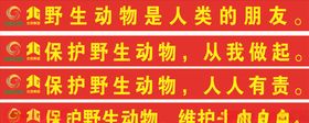 野生动物是人类的朋友