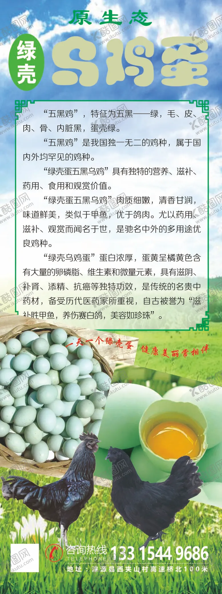 编号：81963709122237393125【酷图网】源文件下载-乌鸡