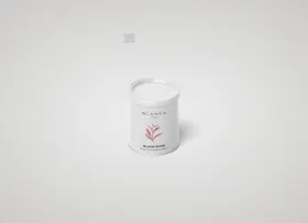茶叶包装样机