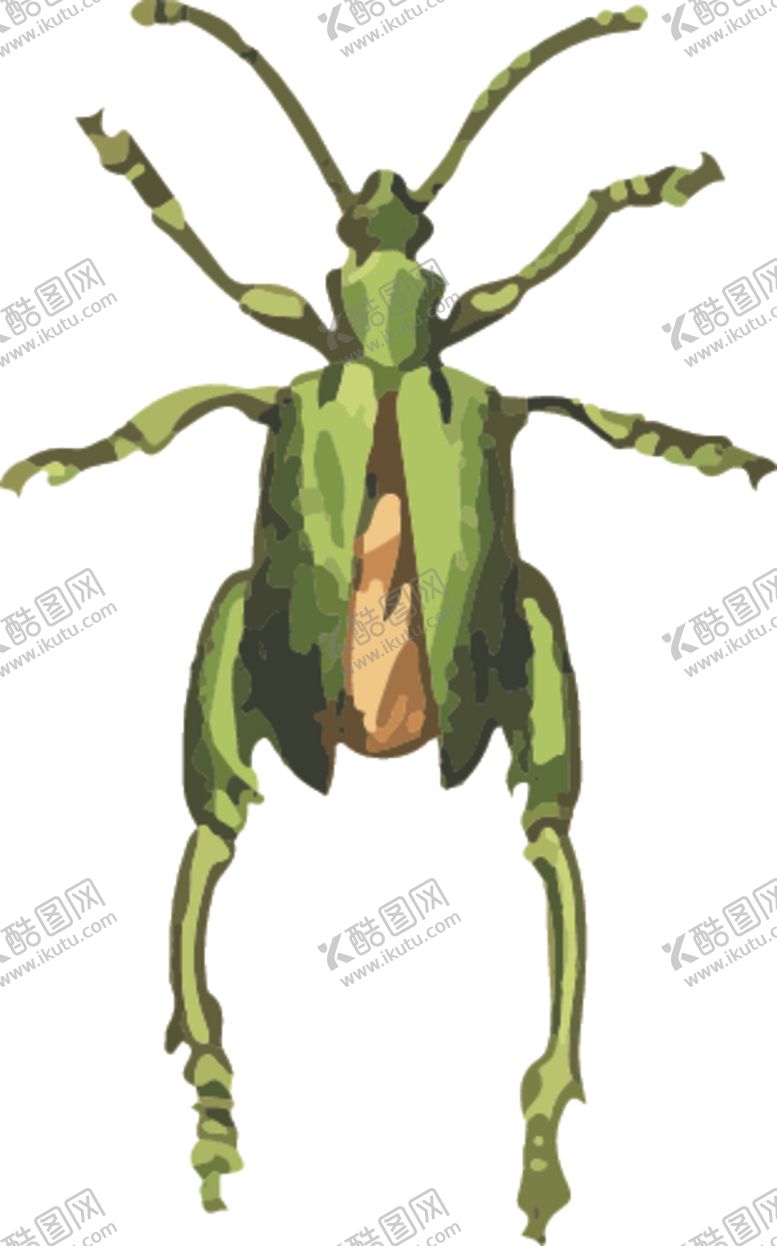 编号：23345310221733219144【酷图网】源文件下载-甲虫昆虫插画