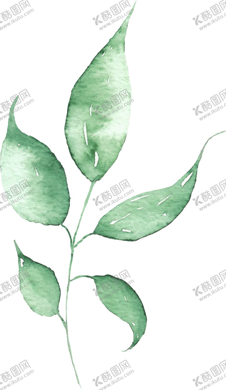 编号：53834809262129557161【酷图网】源文件下载-海报元素花草元素展架元素