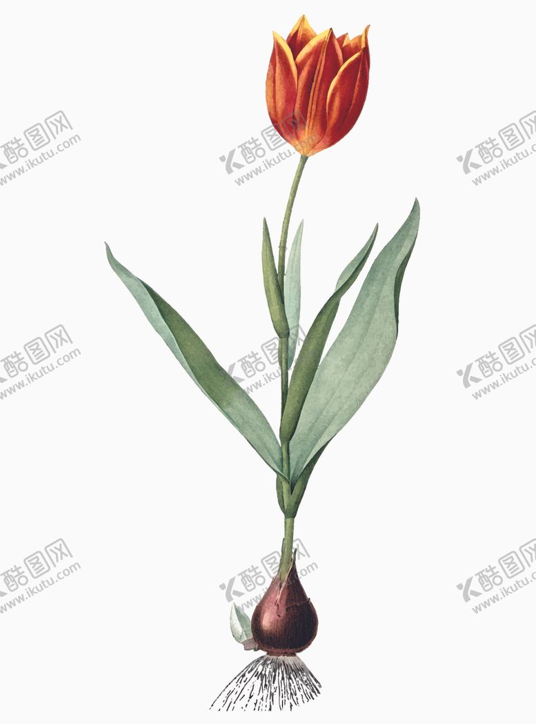 编号：43628710170809052712【酷图网】源文件下载-花纹