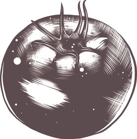 手绘蔬菜