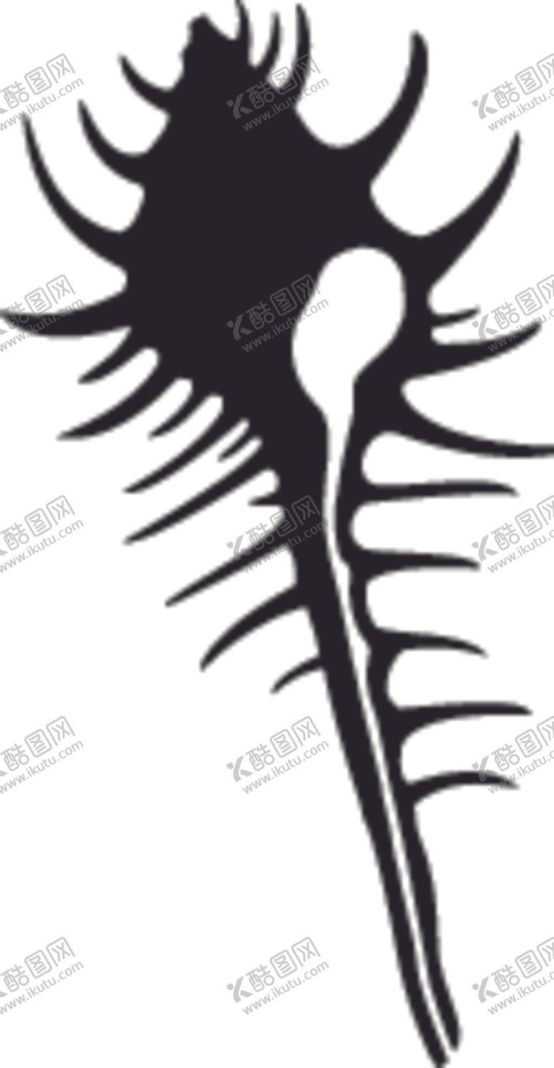 编号：60286007140640291056【酷图网】源文件下载-海洋生物系列海螺