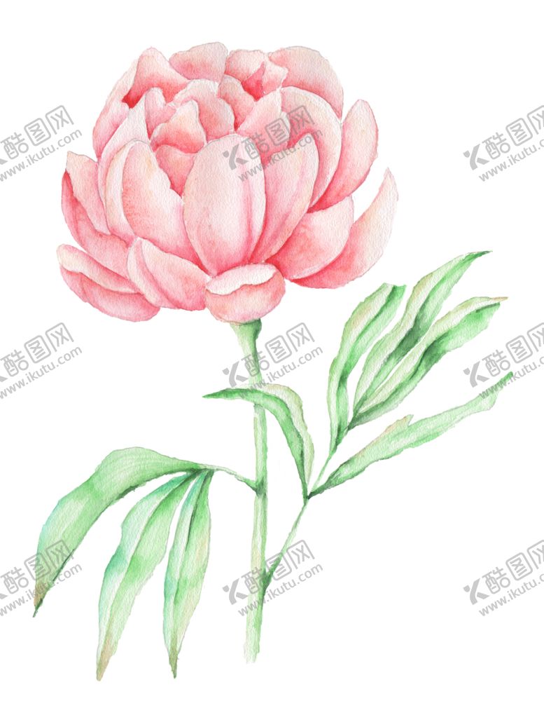 编号：13024402150925171447【酷图网】源文件下载-手绘植物花草