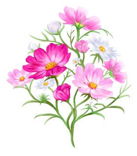 鲜花花朵粉色红色花纹底纹