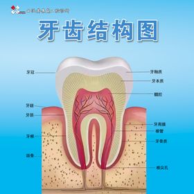 安全组织结构图