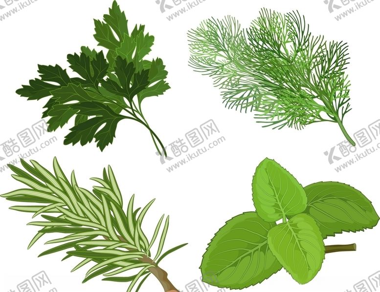 编号：27615109241630293014【酷图网】源文件下载-中草药素材