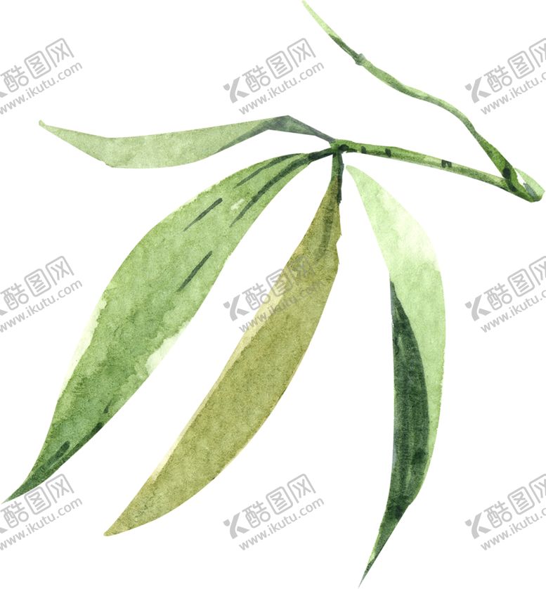 编号：93256410310153337038【酷图网】源文件下载-手绘竹叶