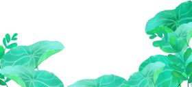 手绘荷叶免抠元素