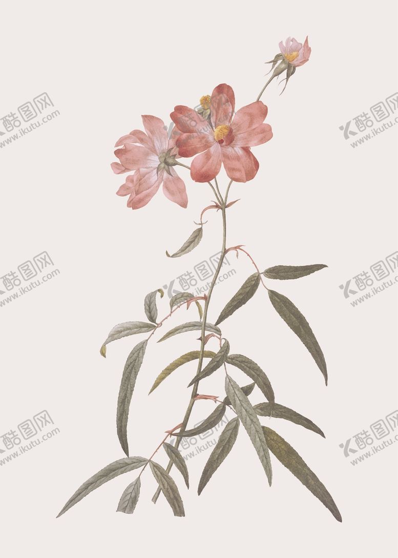 编号：31068407062254235952【酷图网】源文件下载-花纹