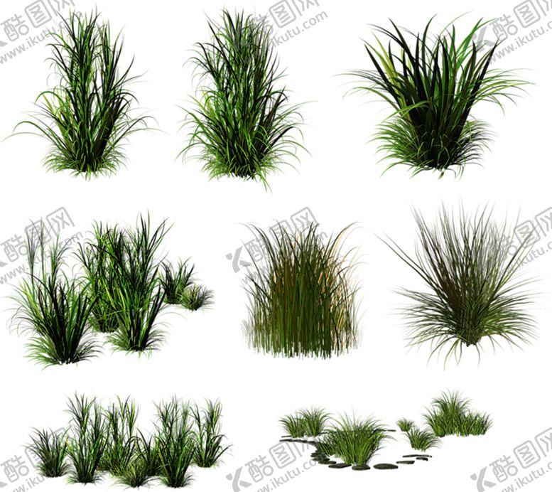编号：47106307130200591312【酷图网】源文件下载-植物