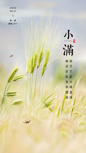 小满节气背景设计